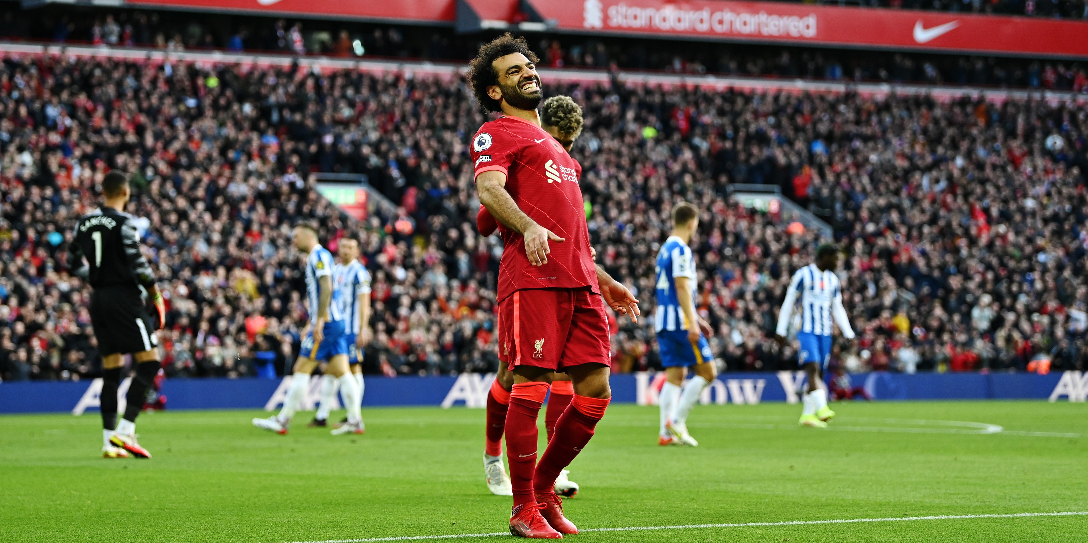 Salah, Bell