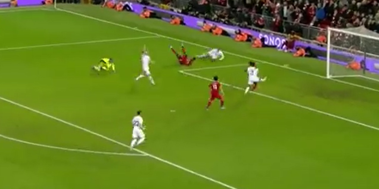 Mane