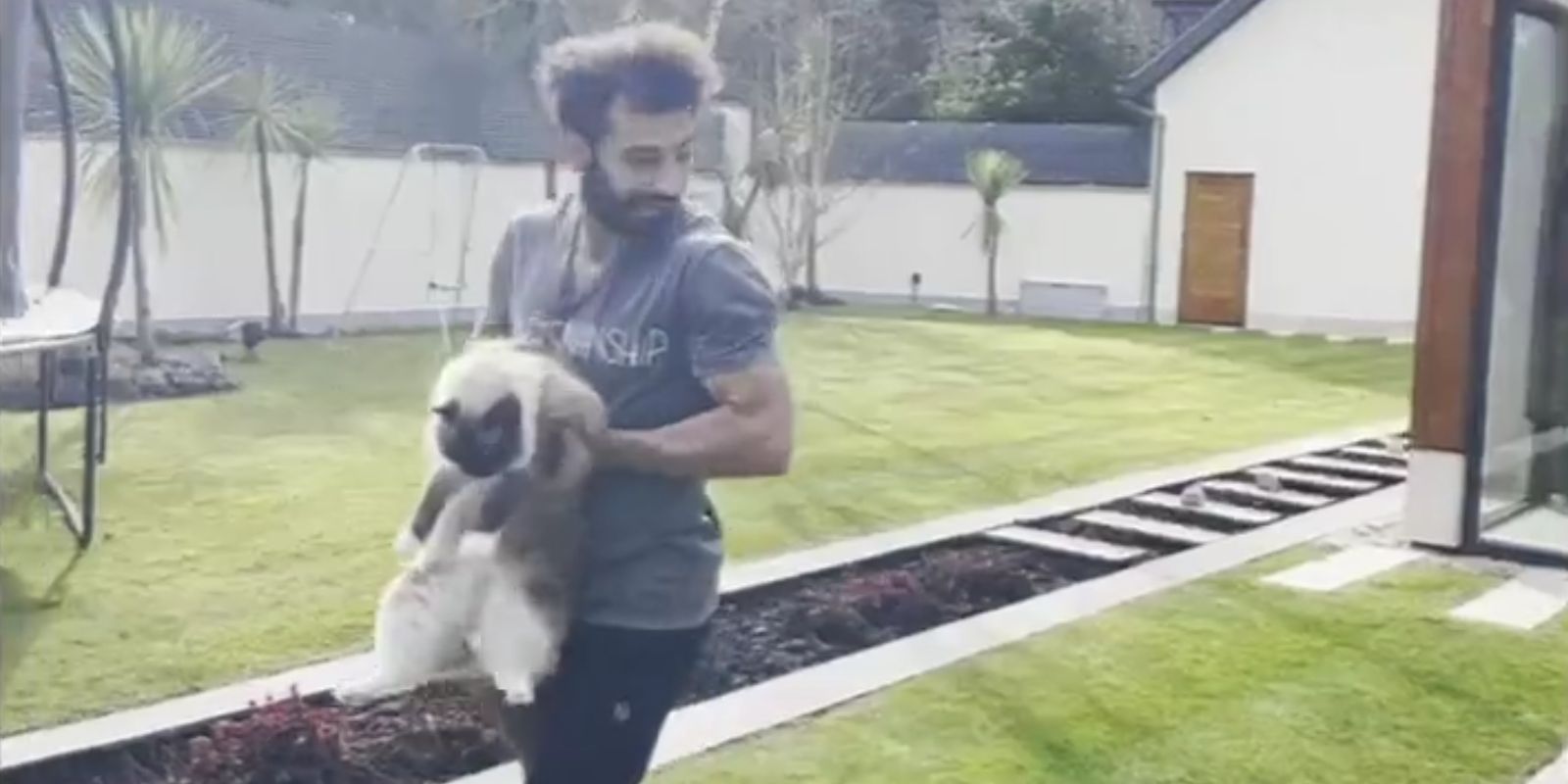 Mo Salah