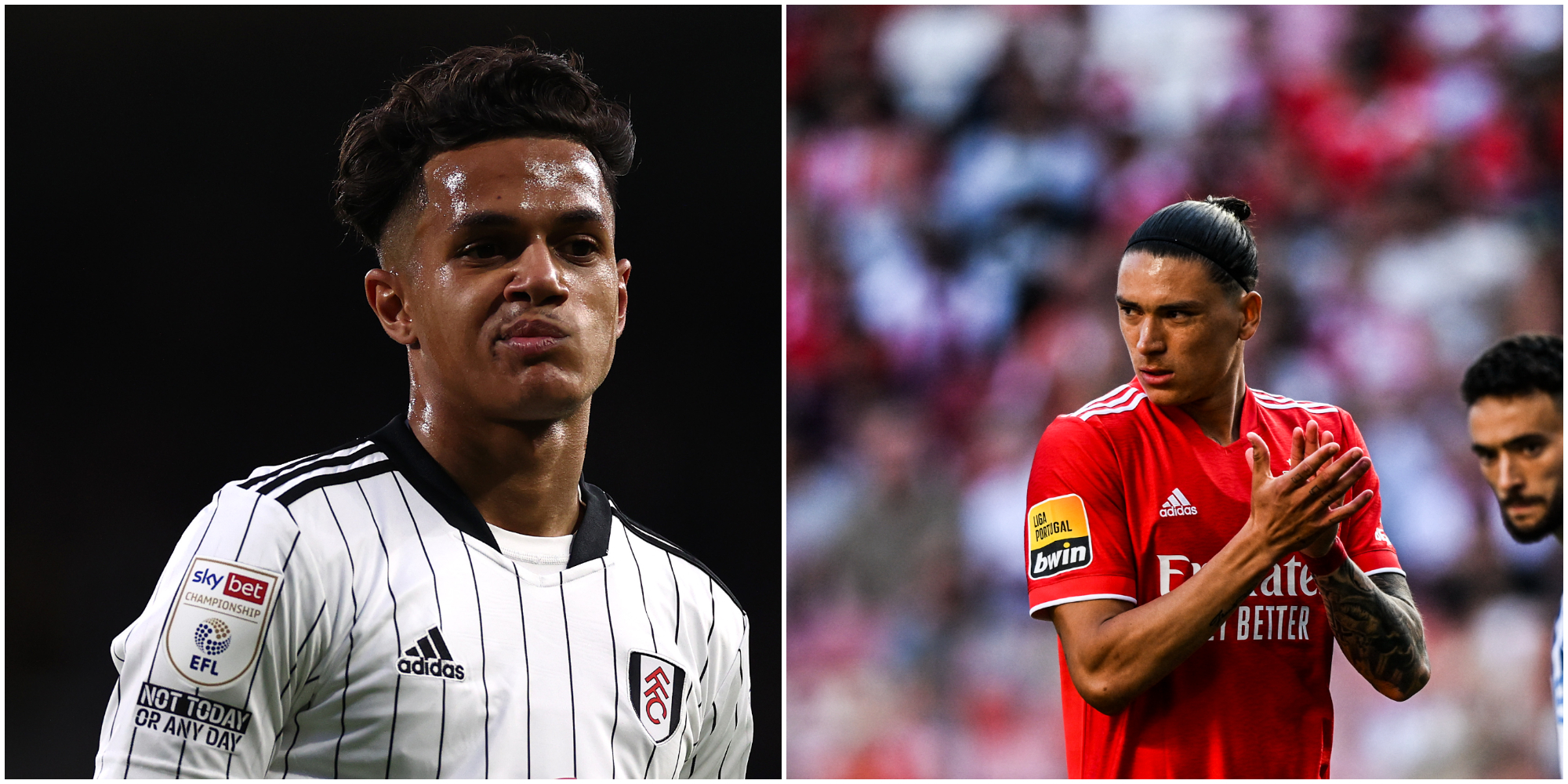 Nunez, Carvalho