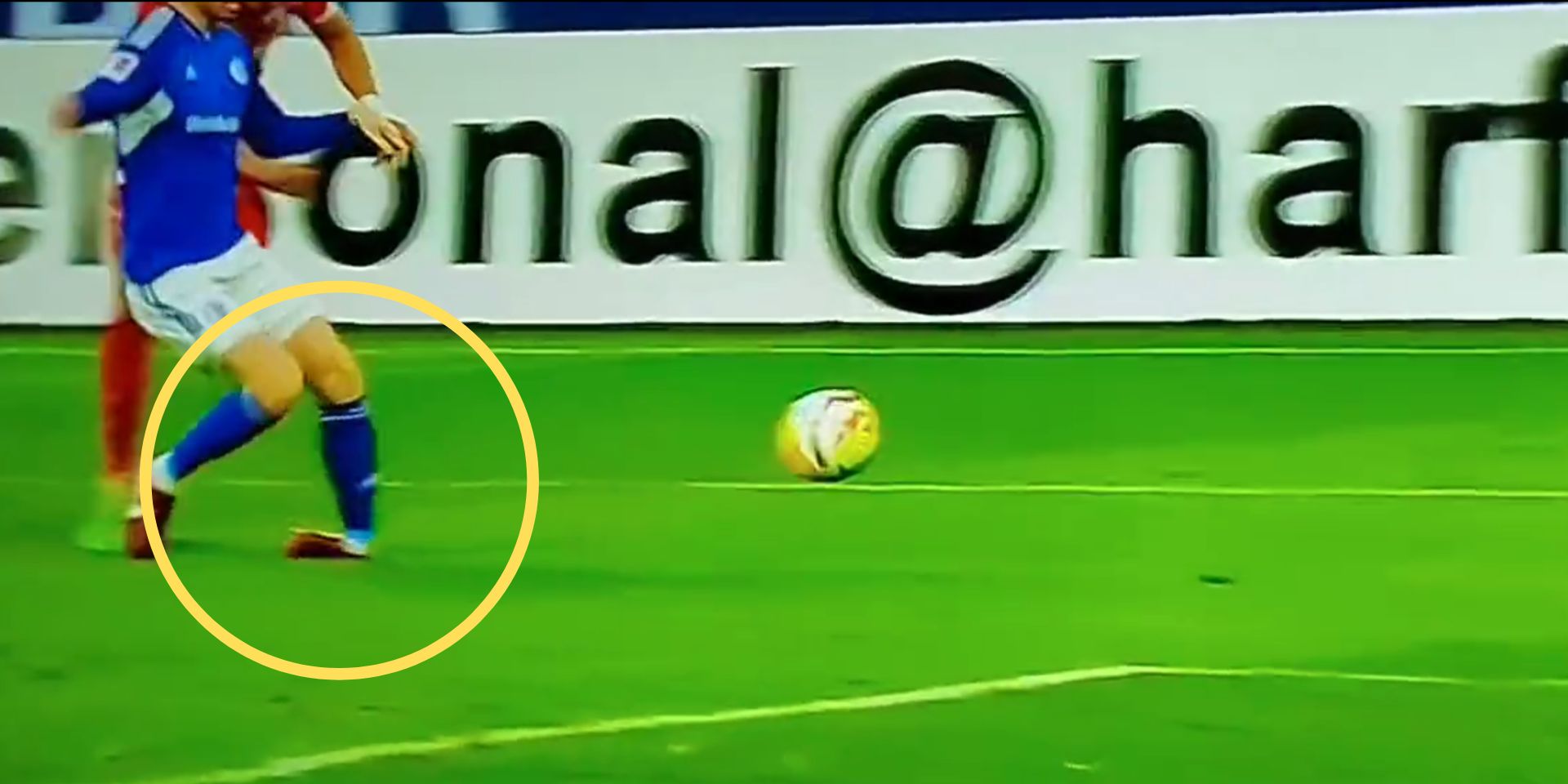 van den Berg, Schalke