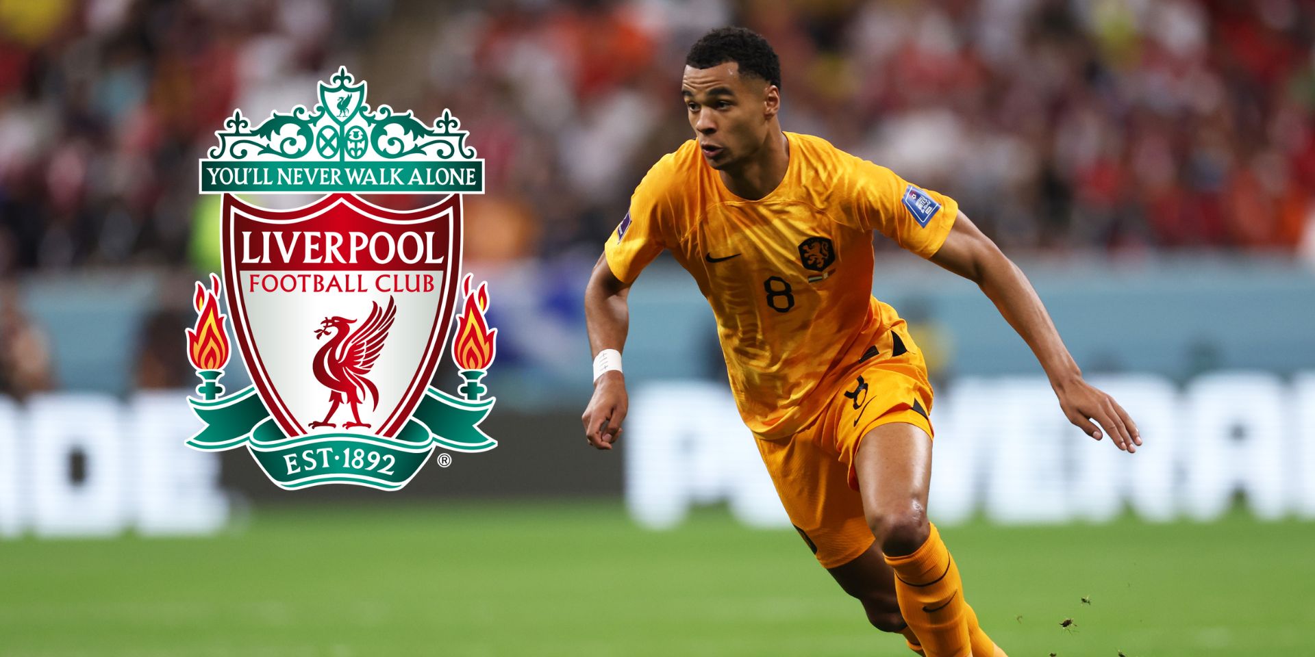 Liverpool, Romano, Gakpo