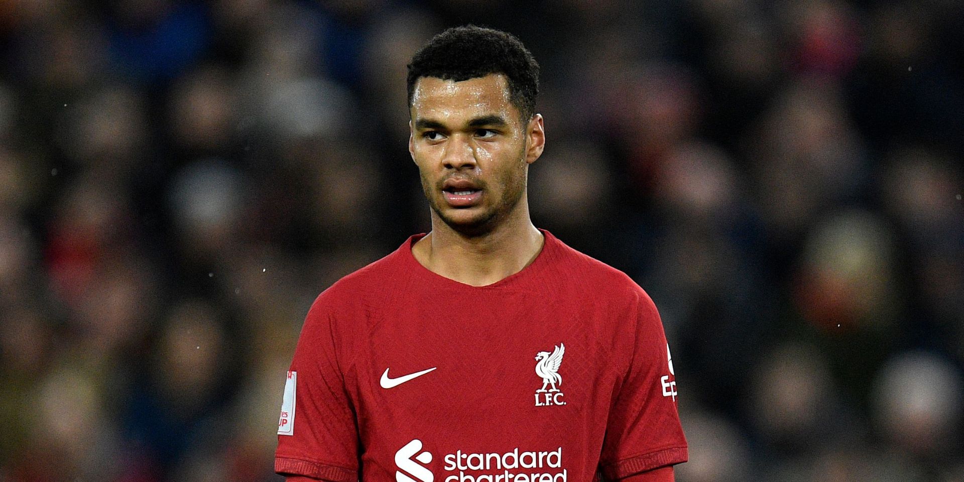 Gakpo, PSV, de Mos, Klopp