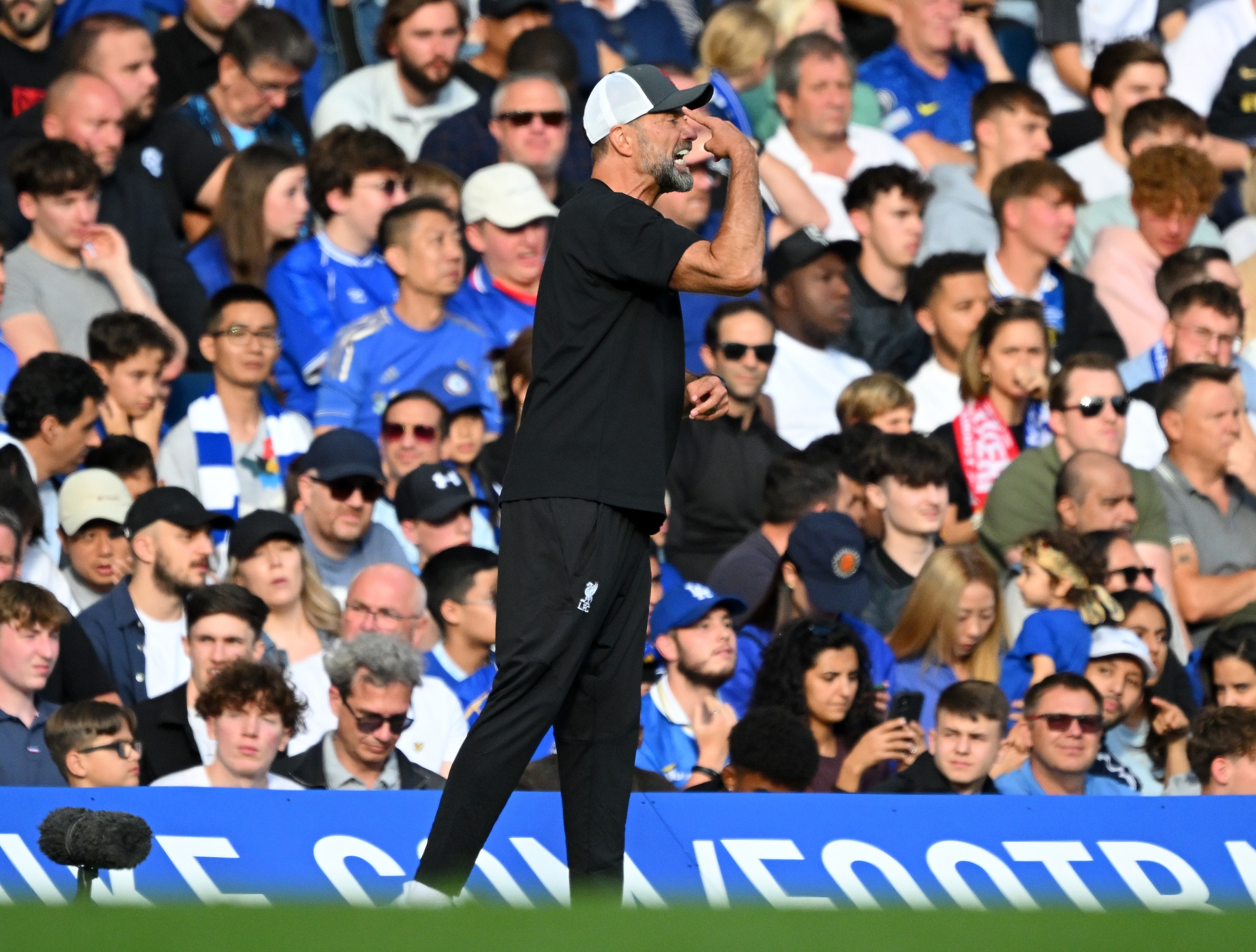 Klopp, Caicedo, Pochettino