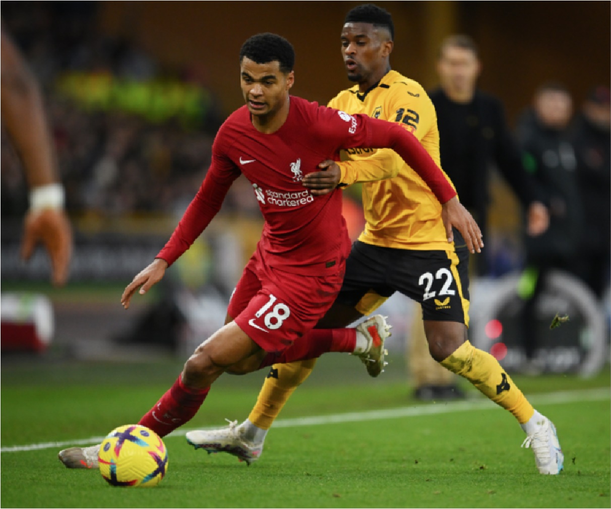 gakpo-wolves-liverpool gakpo-wolves-liverpool