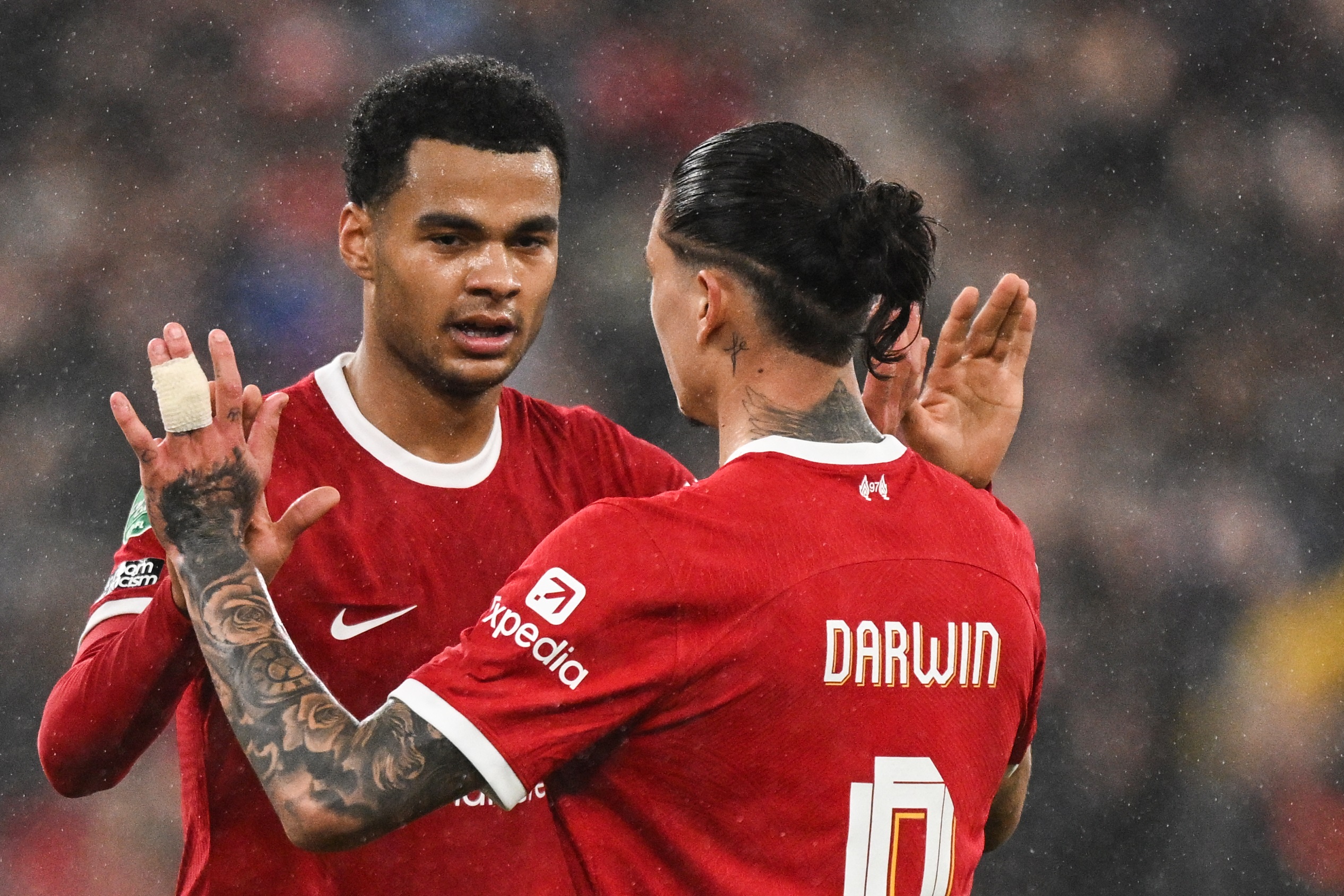 Nunez, Liverpool Nunez, Liverpool