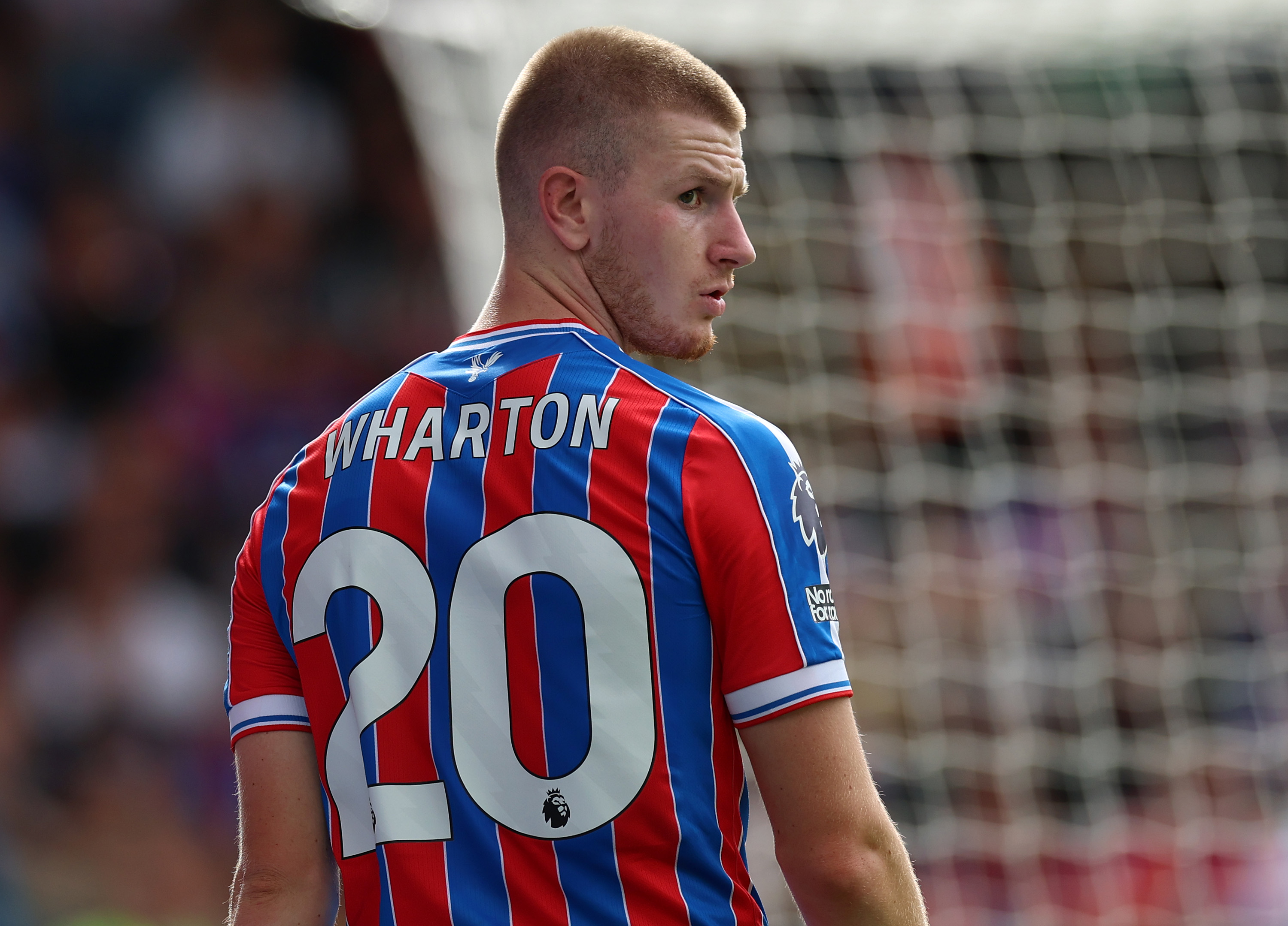 Liverpool could push to sign Adam Wharton in January