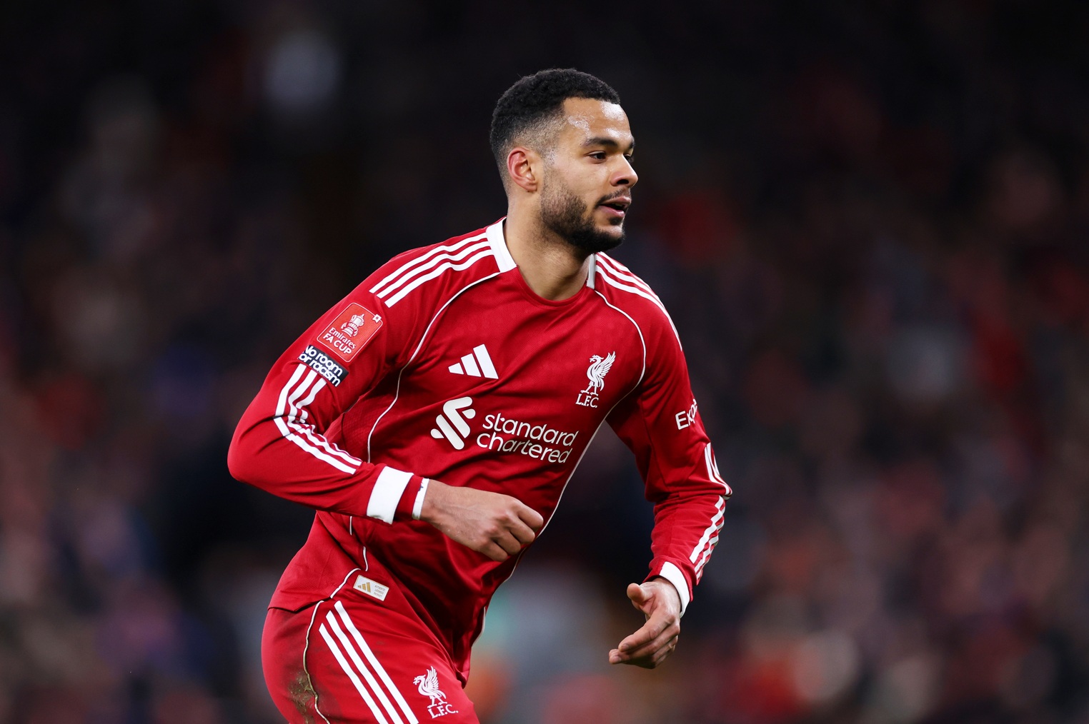 Liverpool could reportedly be open to offers for Cody Gakpo in the summer