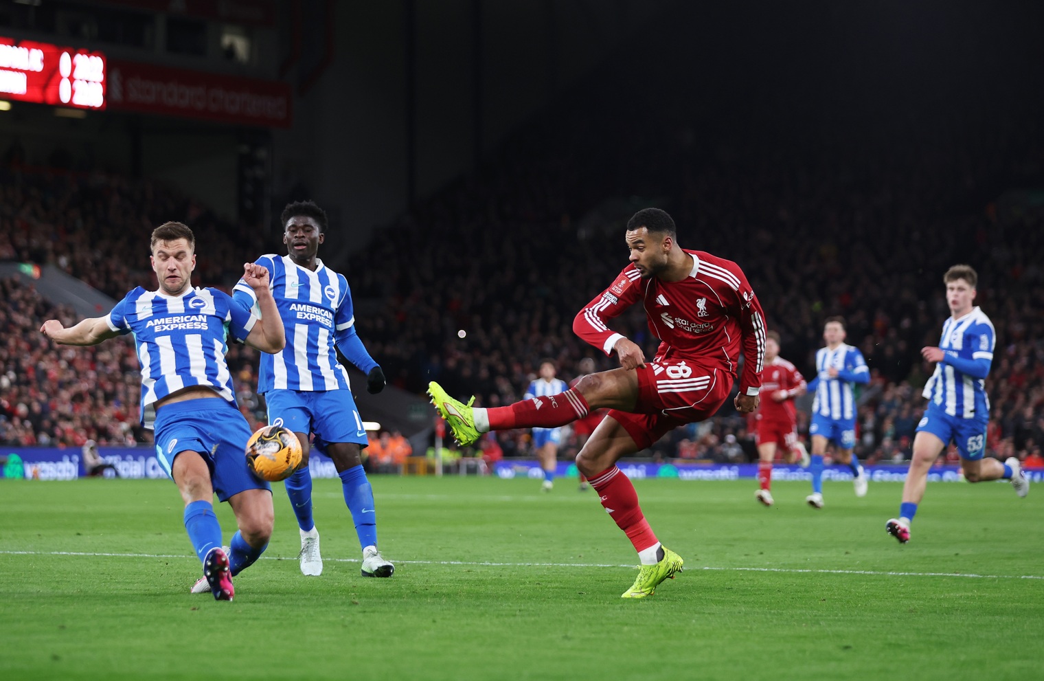 Cody Gakpo has been a near-constant starter for Liverpool this season