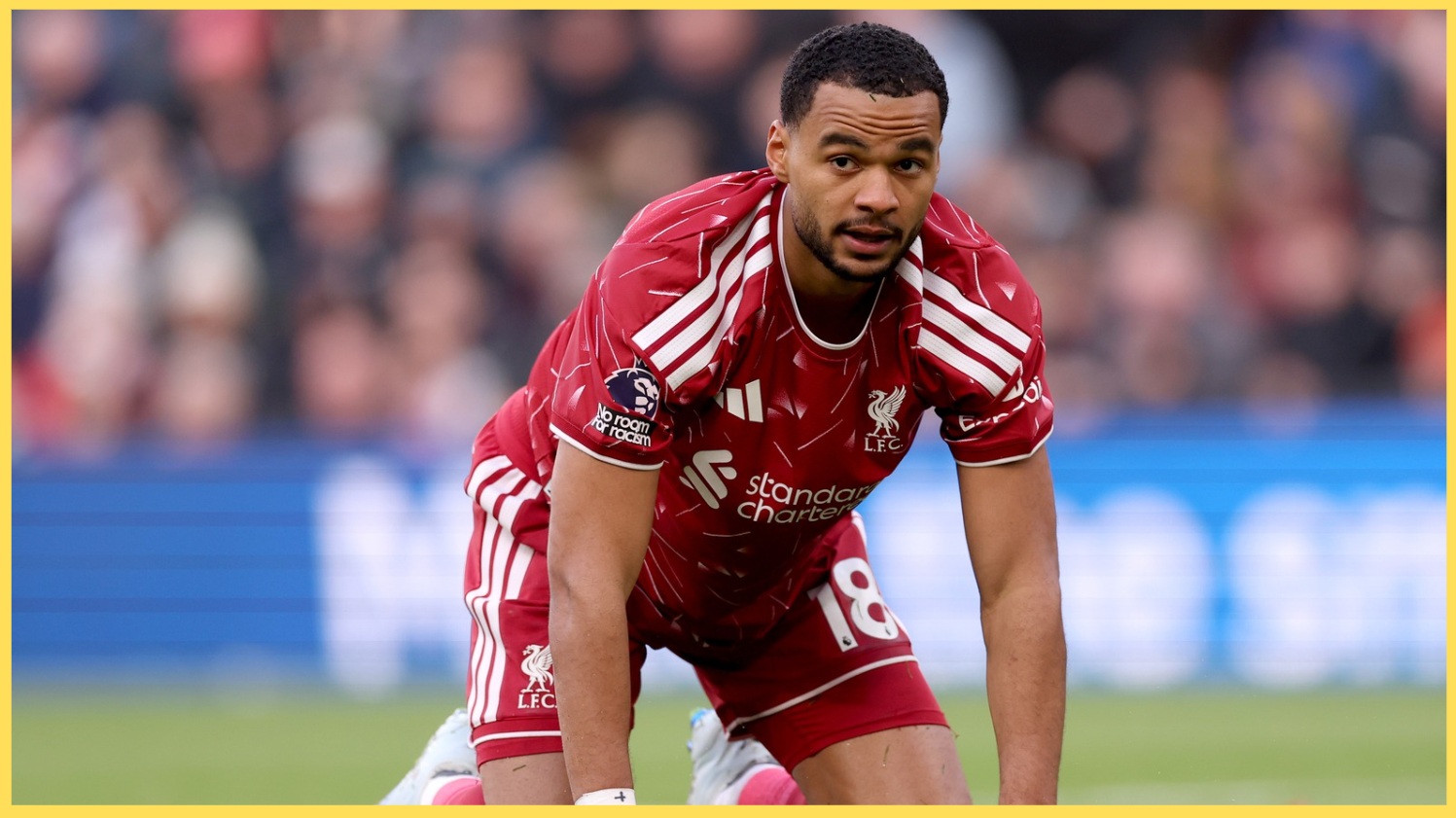 Cody Gakpo on his hands and knees during Liverpool's win over Brighton