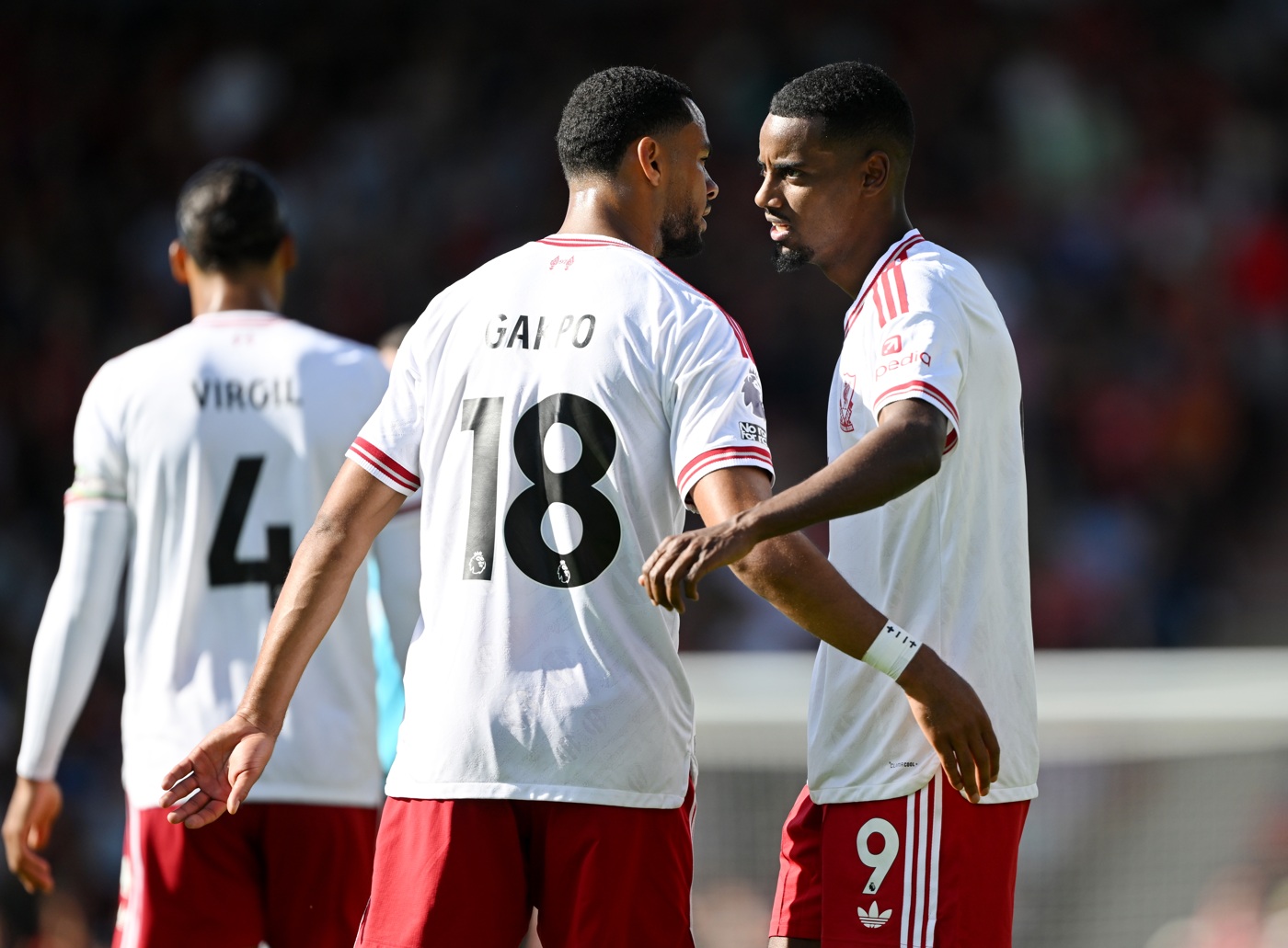 Cody Gakpo and Alexander Isak celebrate after the latter's goal against Bournemouth