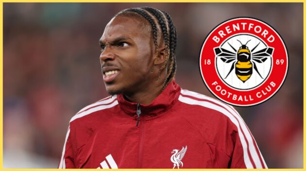 Jeremy Jacquet grimaces during a Liverpool match