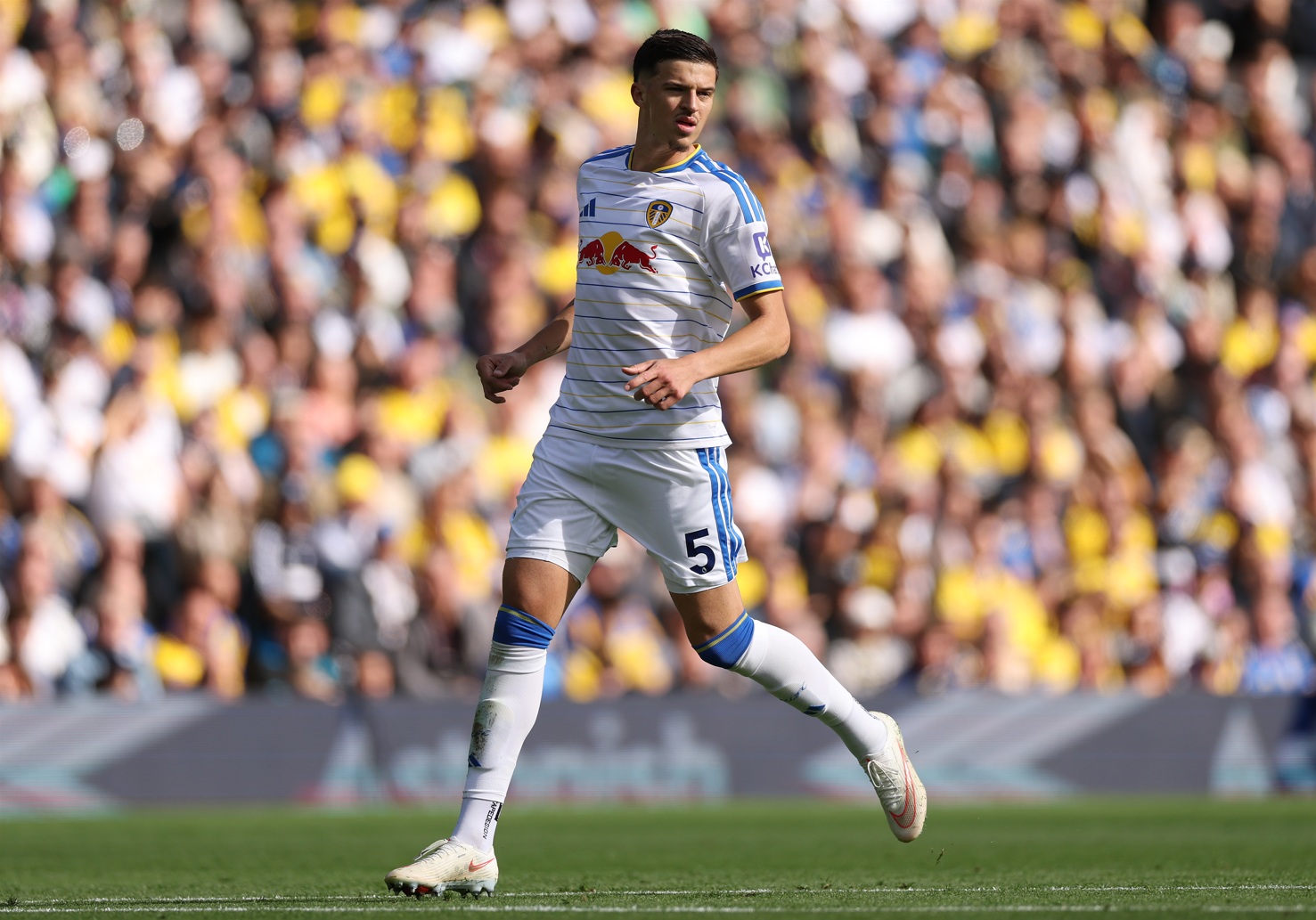 Tarik Muharemovic has impressed in his first few months with Leeds